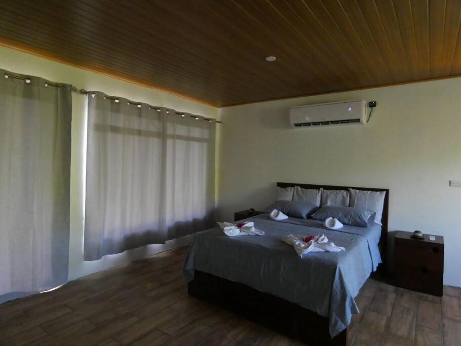 Tapiru'S House - Bahia Drake Drake Bay Exterior foto