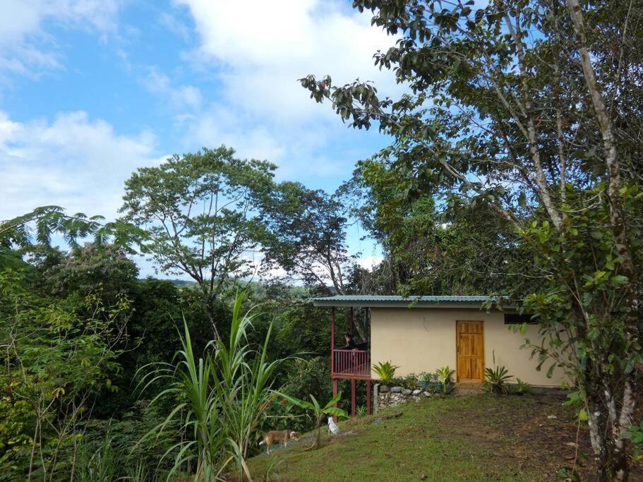 Tapiru'S House - Bahia Drake Drake Bay Exterior foto