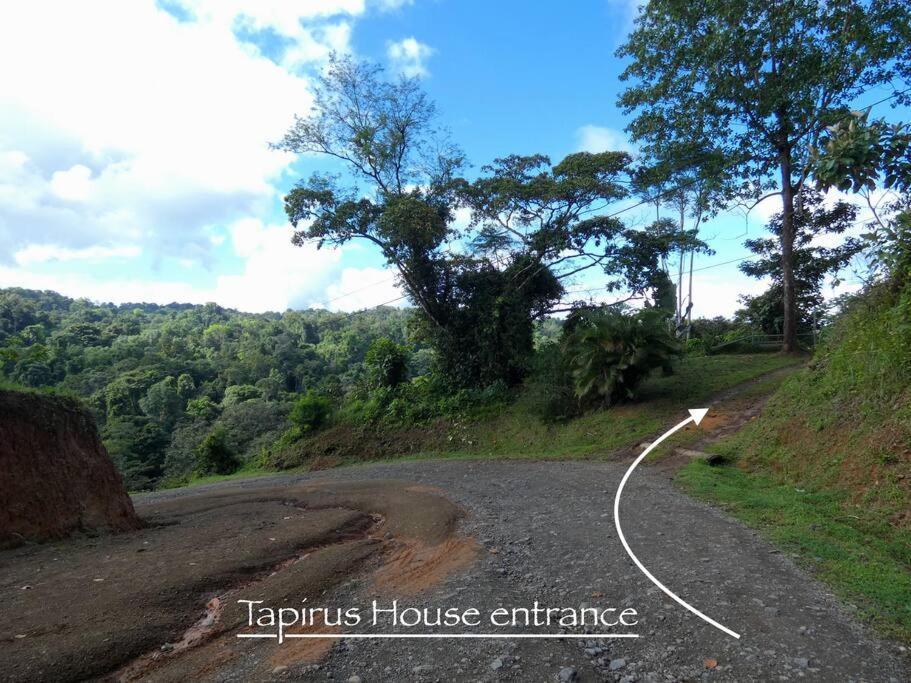 Tapiru'S House - Bahia Drake Drake Bay Exterior foto