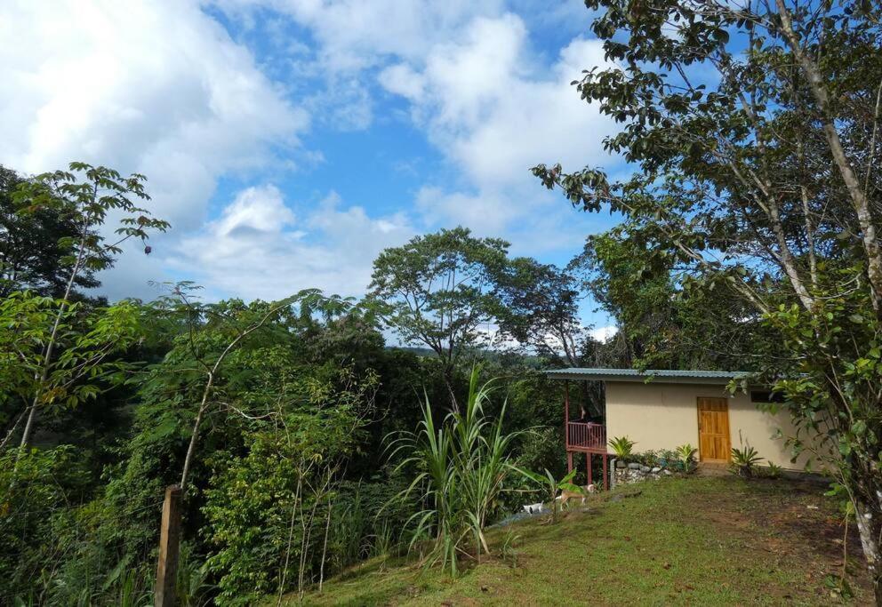 Tapiru'S House - Bahia Drake Drake Bay Exterior foto