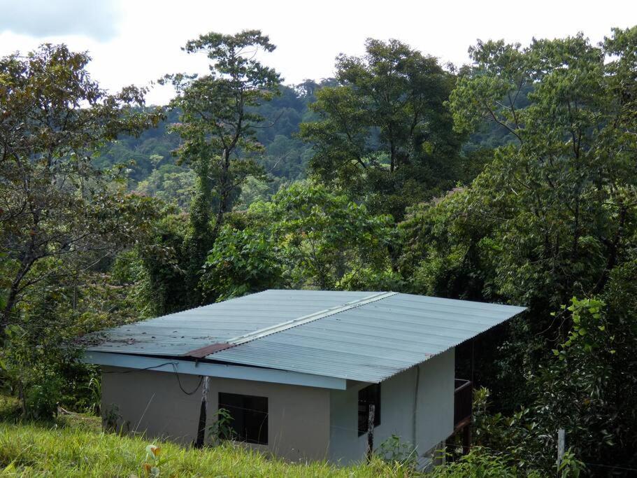 Tapiru'S House - Bahia Drake Drake Bay Exterior foto